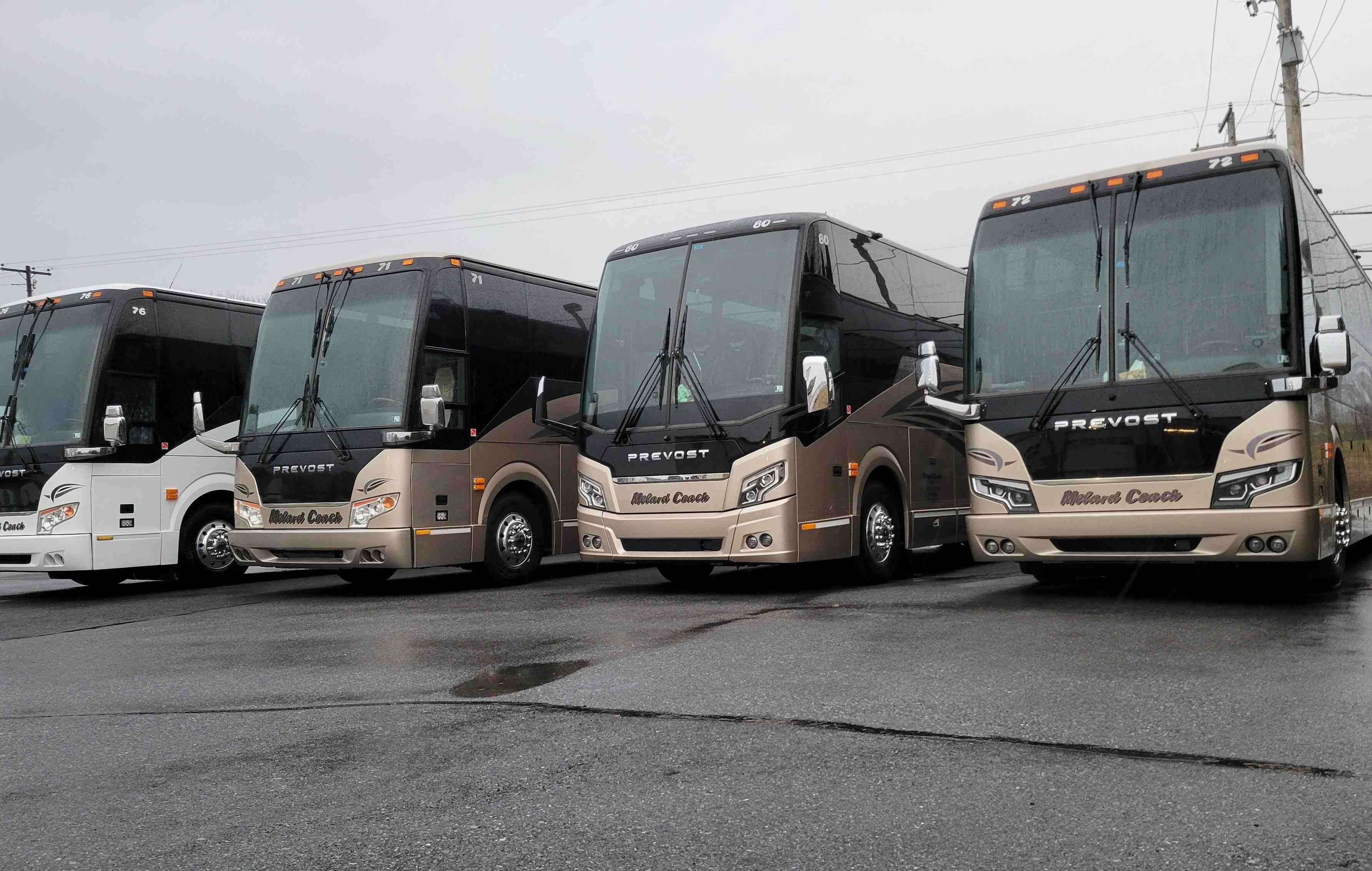 Melard Coach